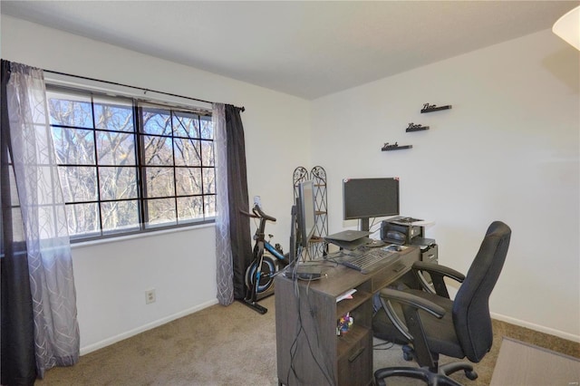 office area with carpet and baseboards