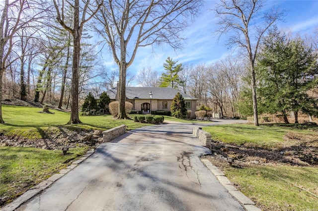 view of front of home featuring driveway and a front yard