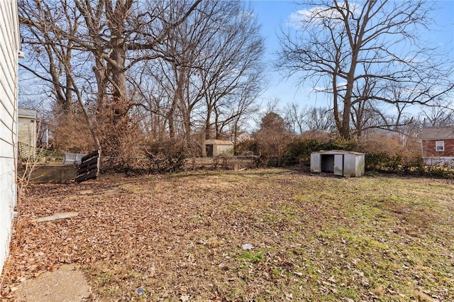 view of yard with a storage unit