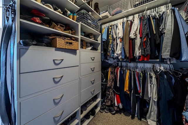 view of spacious closet