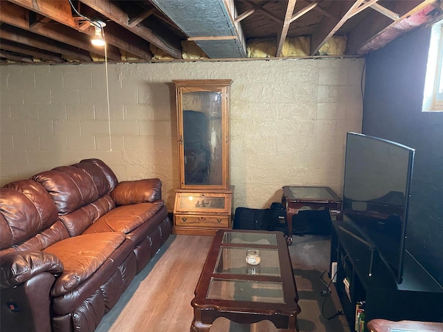 living room featuring wood-type flooring