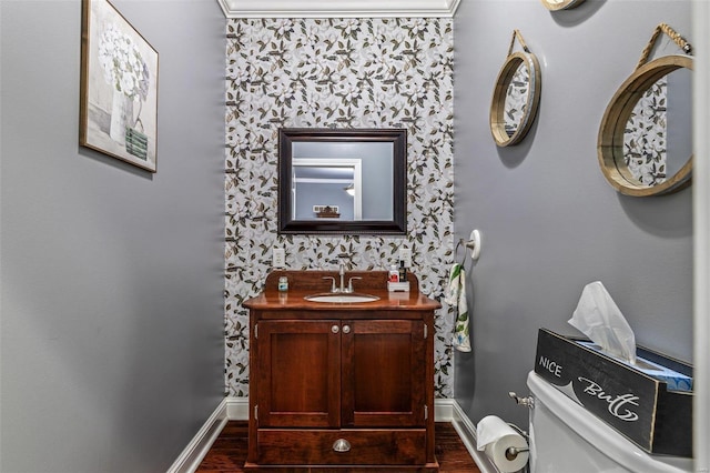 bathroom with vanity, hardwood / wood-style flooring, and toilet