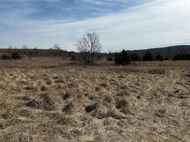 view of local wilderness with a rural view