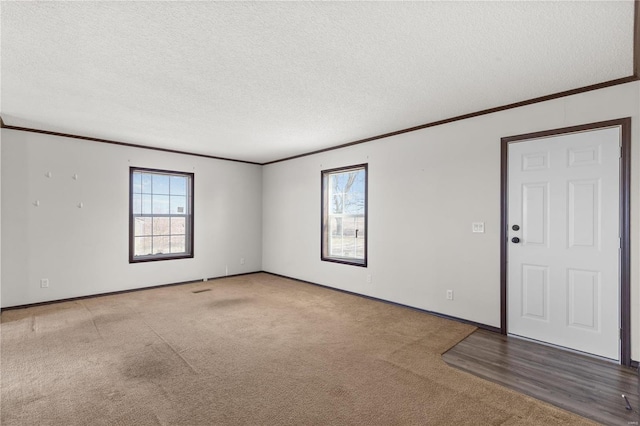 carpeted spare room with crown molding and a textured ceiling