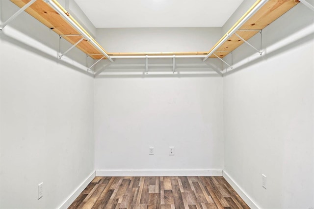 spacious closet with dark hardwood / wood-style floors