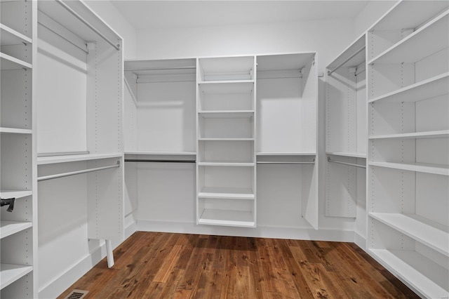 spacious closet featuring dark wood-type flooring