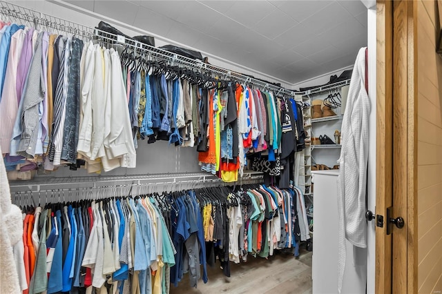 spacious closet with hardwood / wood-style floors