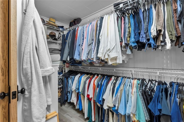 spacious closet with hardwood / wood-style floors