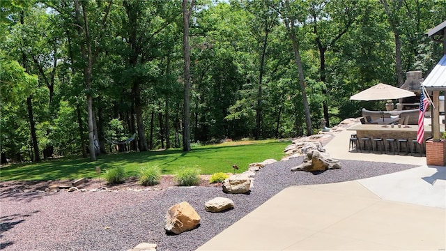 view of yard with a patio