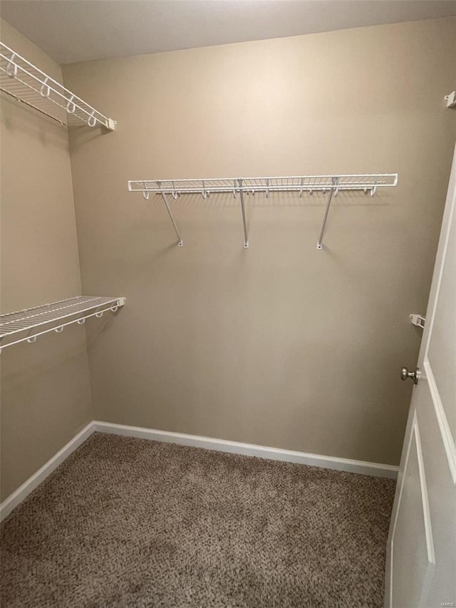 spacious closet with carpet