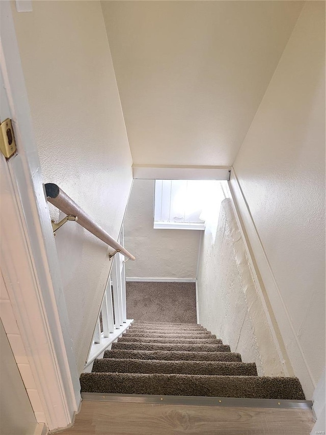 stairway featuring a textured wall and carpet floors