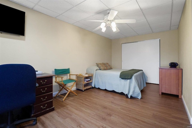 bedroom with hardwood / wood-style flooring, a paneled ceiling, and ceiling fan