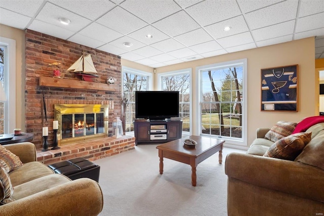 living room with a drop ceiling, a fireplace, a healthy amount of sunlight, and carpet