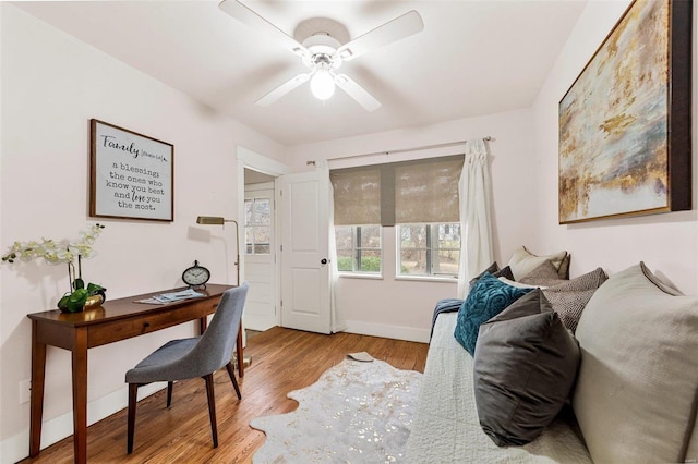 office space featuring ceiling fan and light wood-type flooring