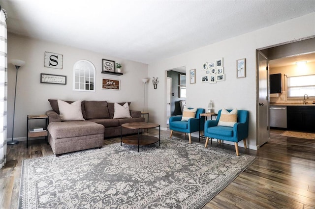 living room featuring sink, dark wood-type flooring, and a textured ceiling