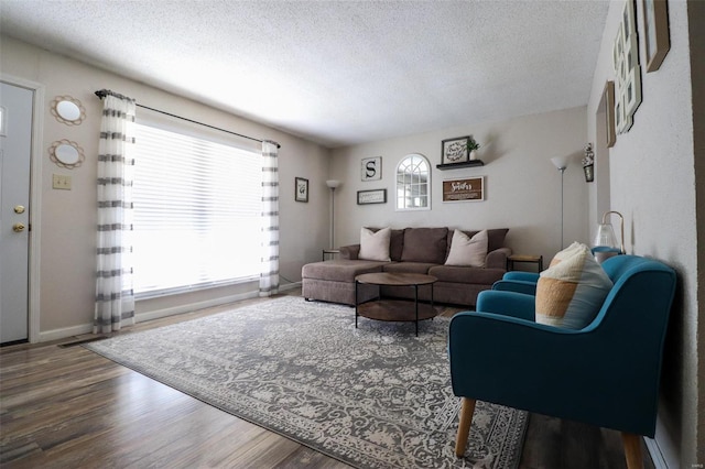 living room featuring hardwood / wood-style flooring and a textured ceiling