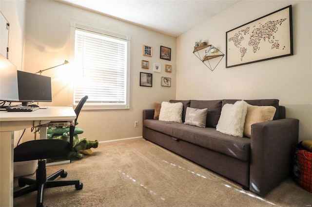 home office with carpet flooring