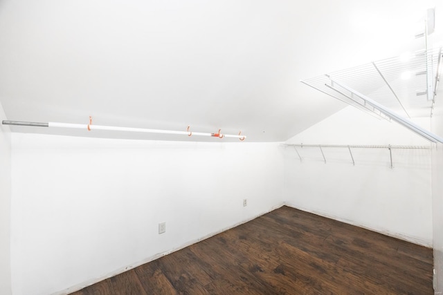 spacious closet featuring dark hardwood / wood-style flooring and vaulted ceiling