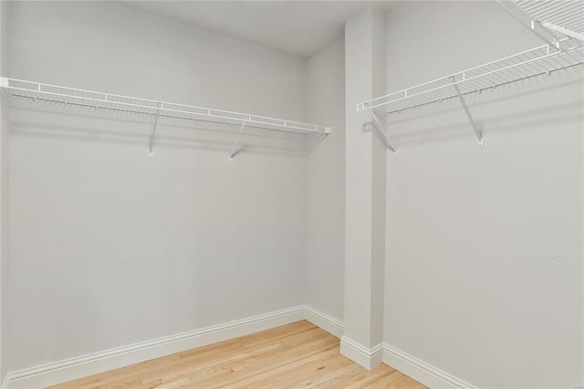 spacious closet featuring hardwood / wood-style flooring