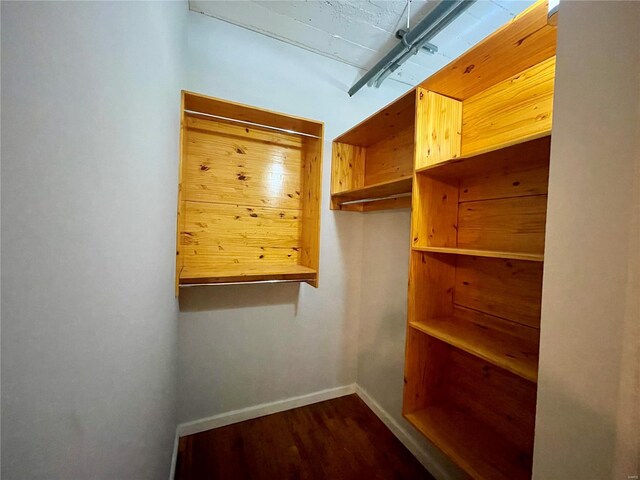 walk in closet featuring hardwood / wood-style flooring