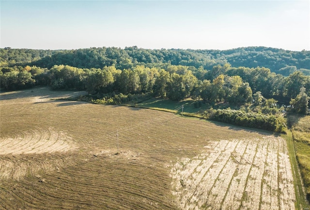 birds eye view of property featuring a rural view