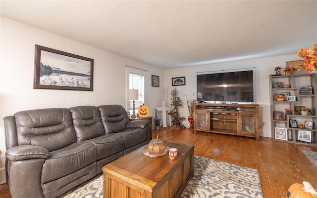 living room featuring hardwood / wood-style floors