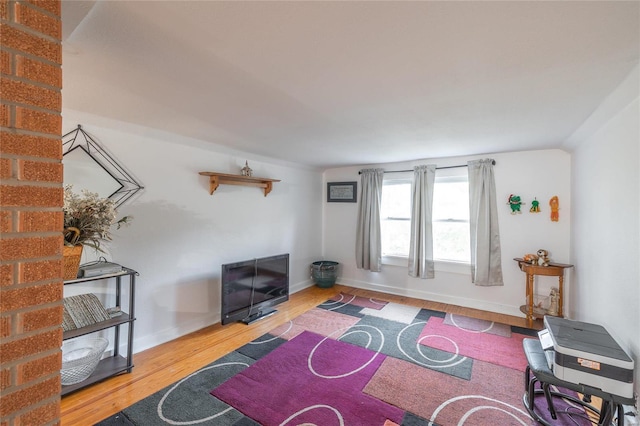 living room featuring hardwood / wood-style flooring and a fireplace