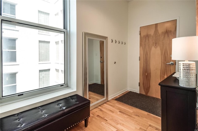 bathroom with wood-type flooring