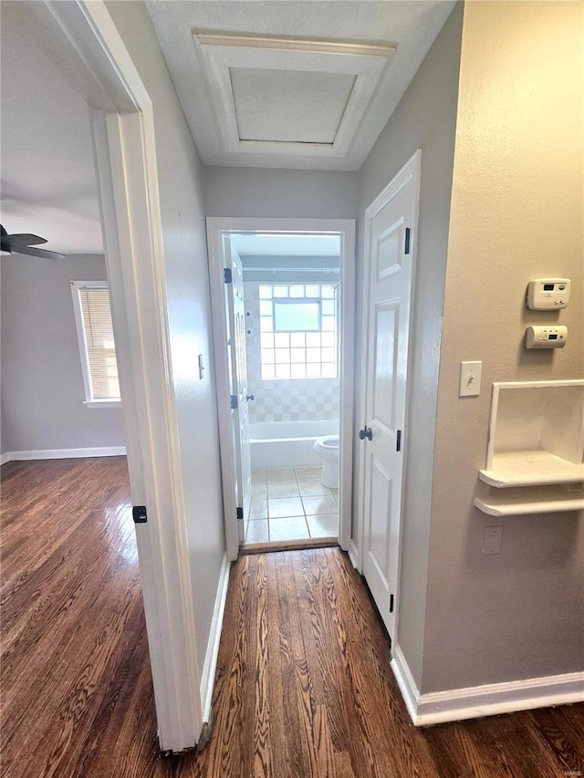 corridor featuring a healthy amount of sunlight and dark wood-type flooring