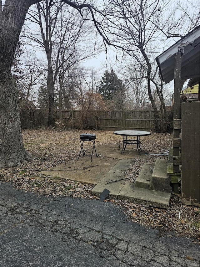 view of yard featuring a patio area