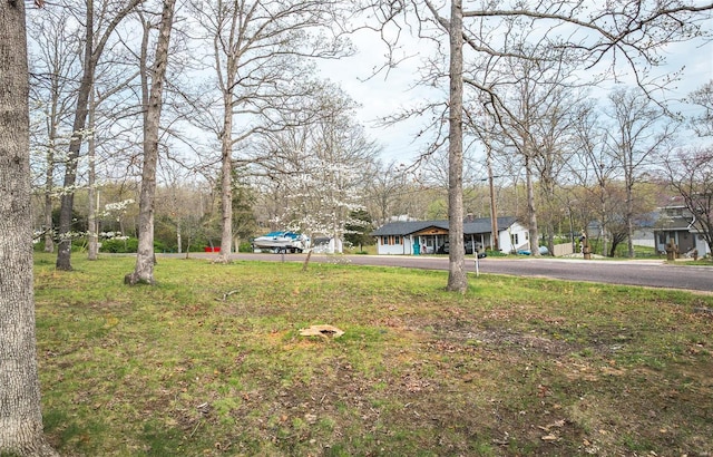 view of yard featuring driveway