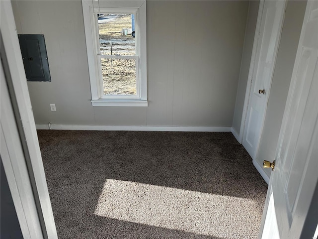 carpeted spare room featuring electric panel