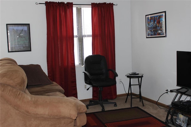 living room with carpet flooring