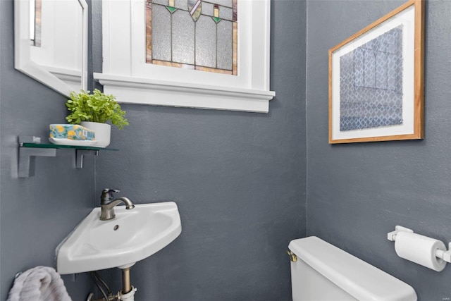 bathroom featuring sink and toilet