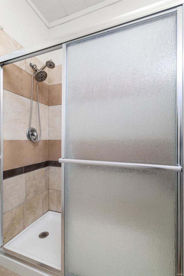 bathroom featuring a shower stall