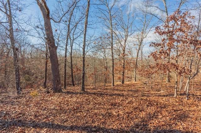 view of landscape