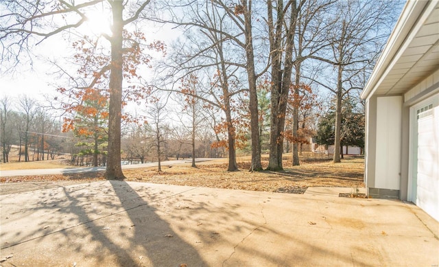 view of yard featuring a patio area