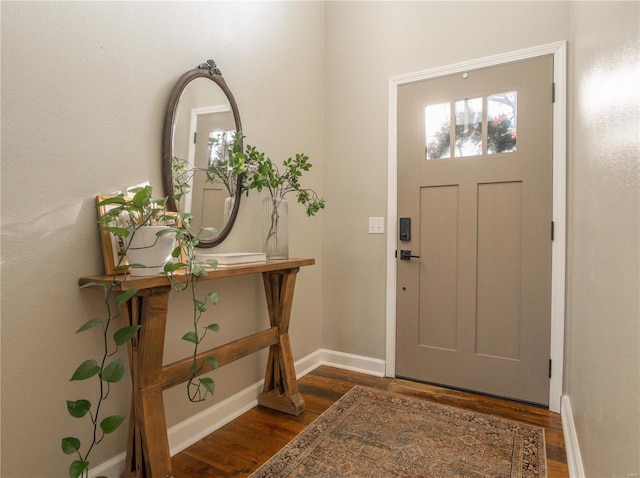 foyer entrance with dark hardwood / wood-style flooring