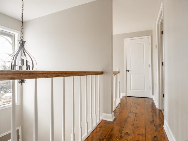 hall with dark wood-type flooring and a wealth of natural light