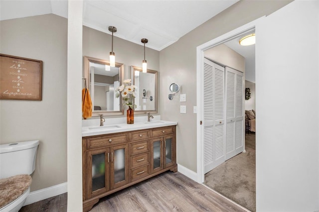 bathroom featuring vanity, hardwood / wood-style flooring, and toilet