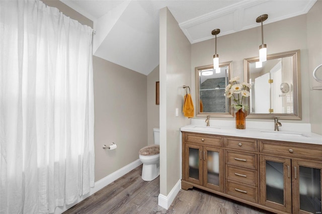 bathroom featuring vanity, hardwood / wood-style flooring, and toilet