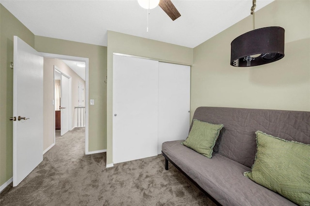 sitting room featuring carpet flooring