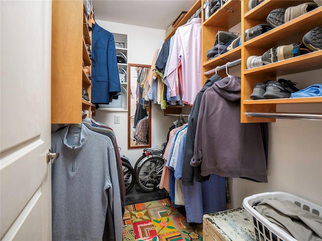 view of walk in closet