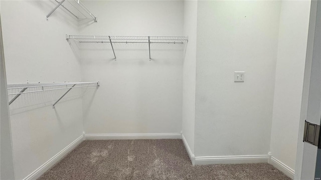 walk in closet featuring carpet flooring