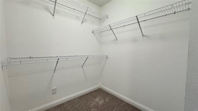 spacious closet featuring carpet