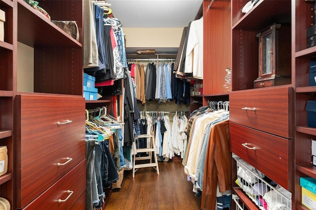 walk in closet with dark wood-type flooring