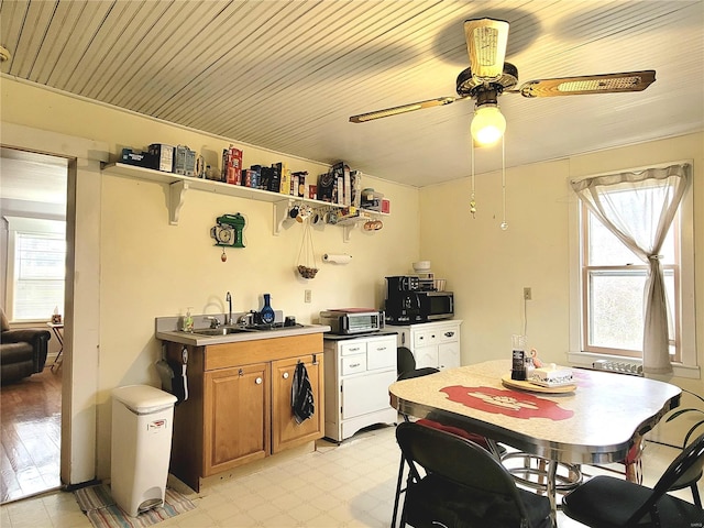 kitchen featuring sink and ceiling fan