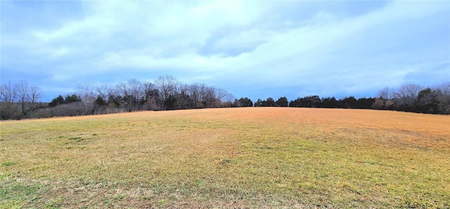 view of yard with a rural view