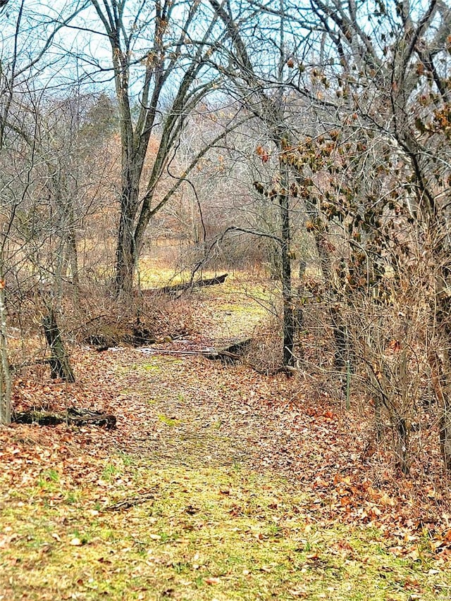 view of landscape