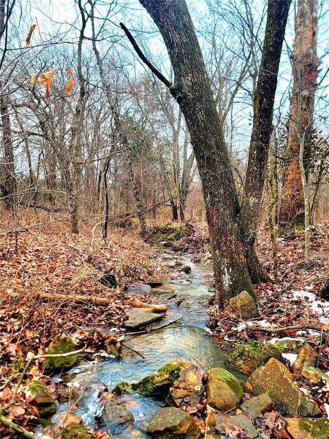 view of landscape